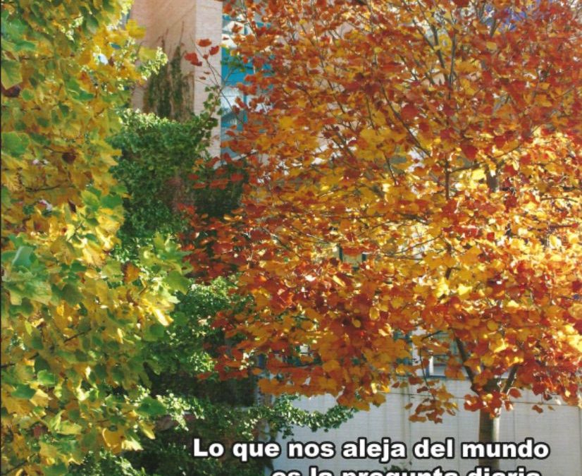 Revista Renaixement, Año V, nº 10, diciembre 2008