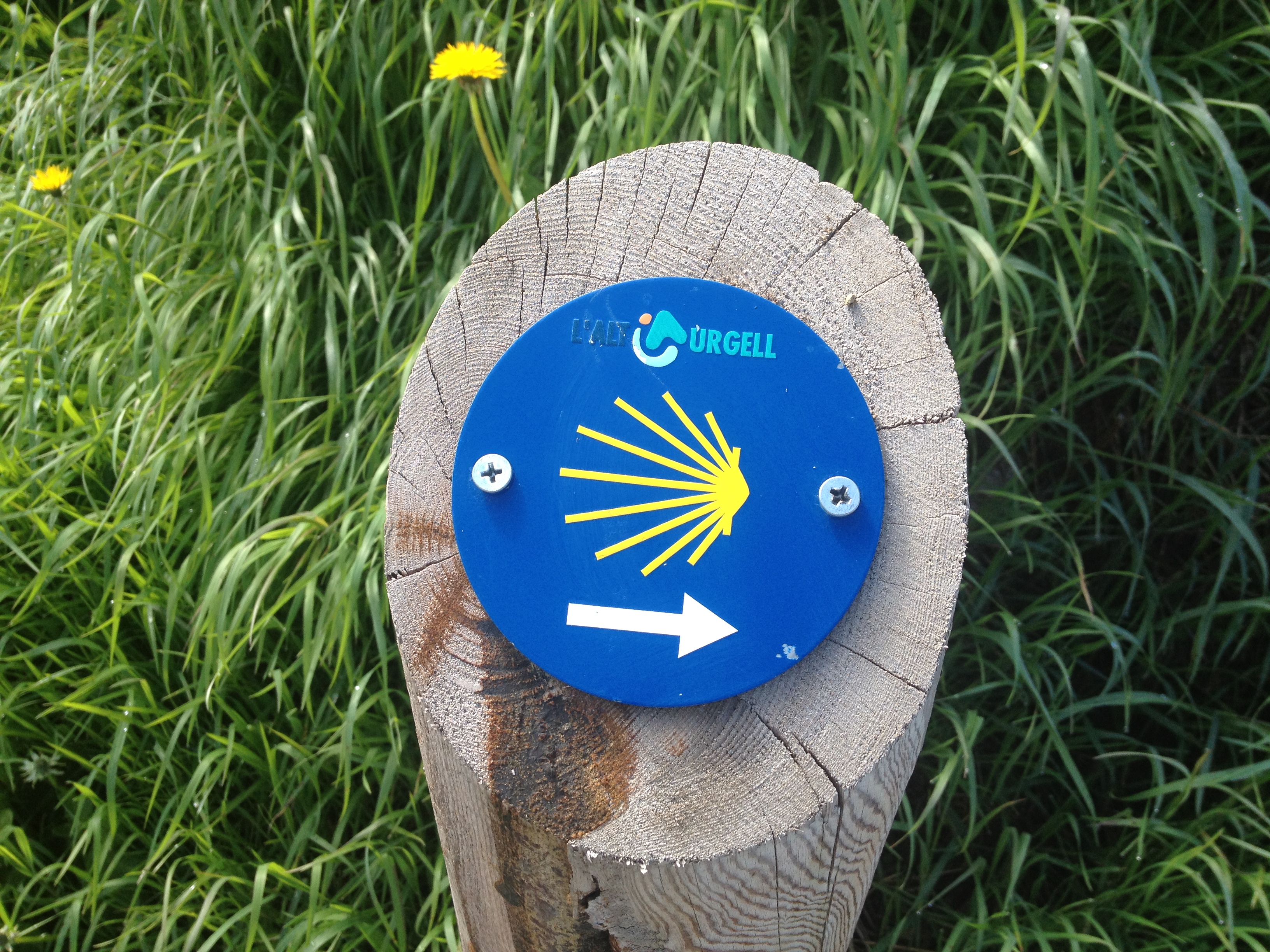 Visiones del Camino (Camino de Santiago) – Experiences from the walk (St. James Way)