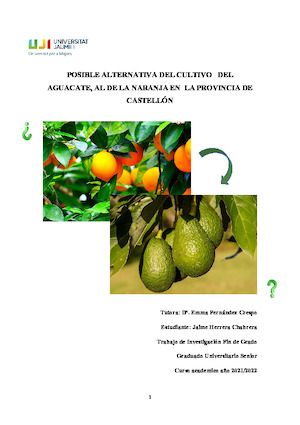Posible-alternativa-del-cultivo-del-aguacate-al-de-la-naranja-en-la-provincia-de-Castellon