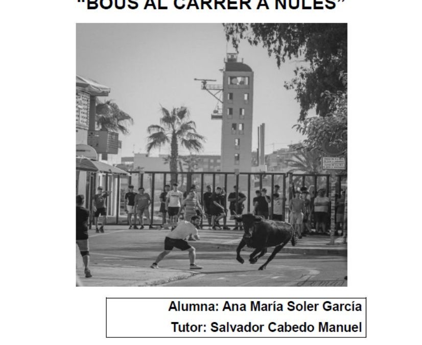 Cultura tradicional de los festejos taurinos. «Bous al carrer a Nules»