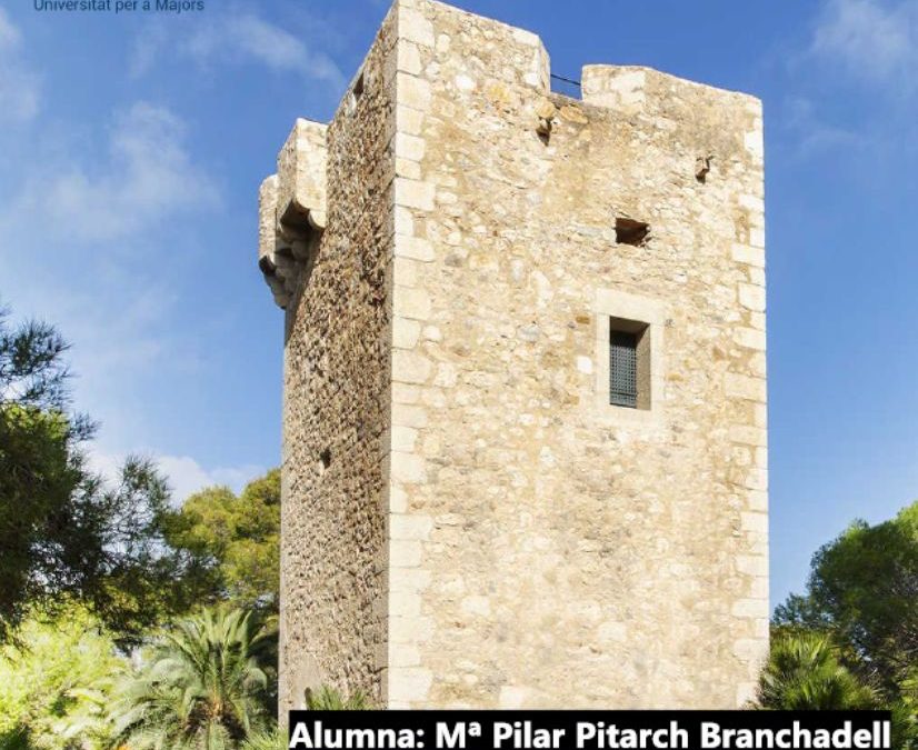 Torre de la Sal, un tesoro para descubrir